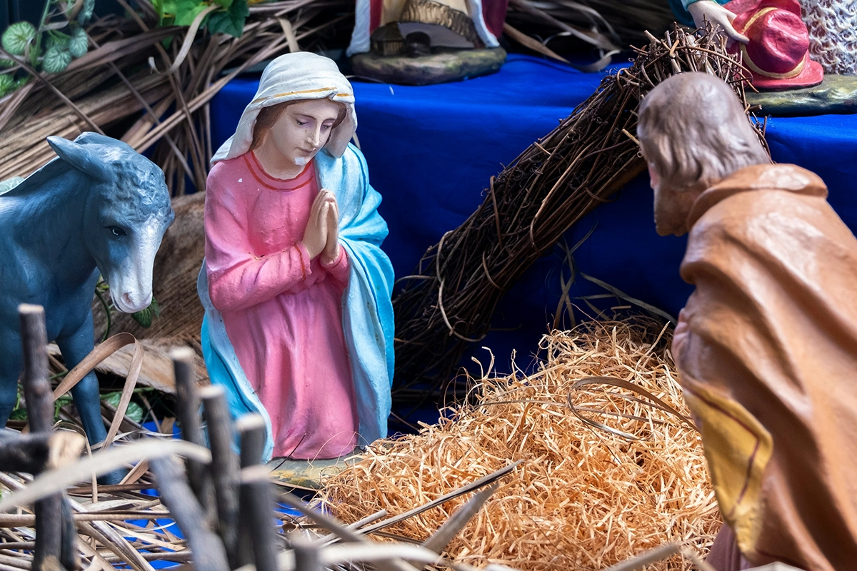 REMEMBER MARY visual data 2